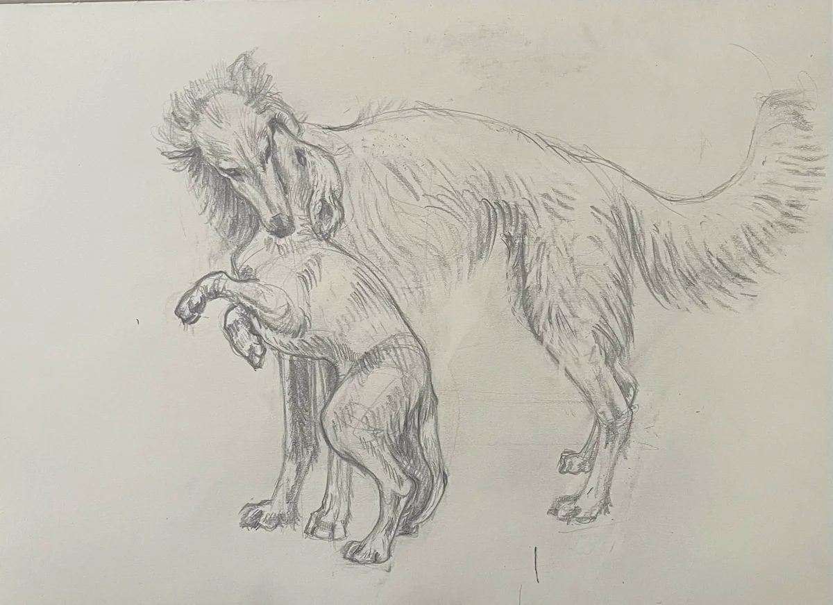 Pencil sketch, borzoi greeting a smaller dog.