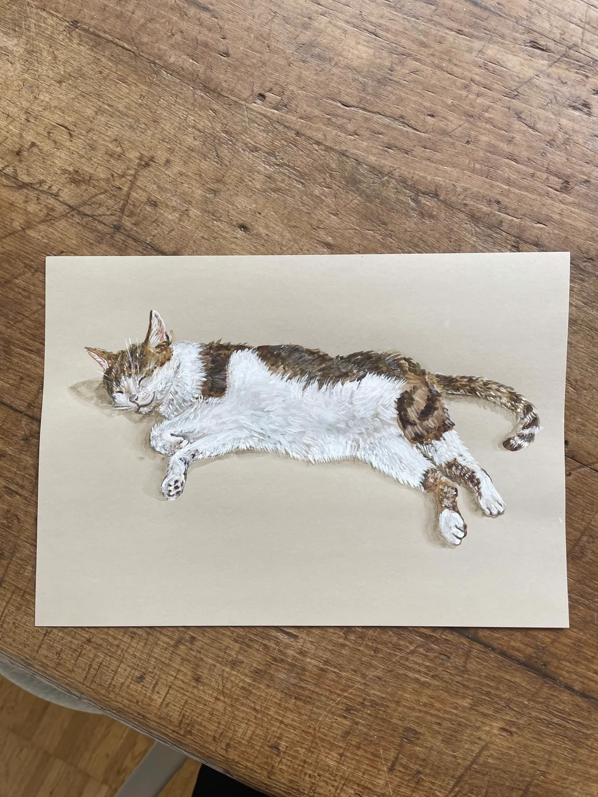 Gouache study, a sleeping cat on cream paper.