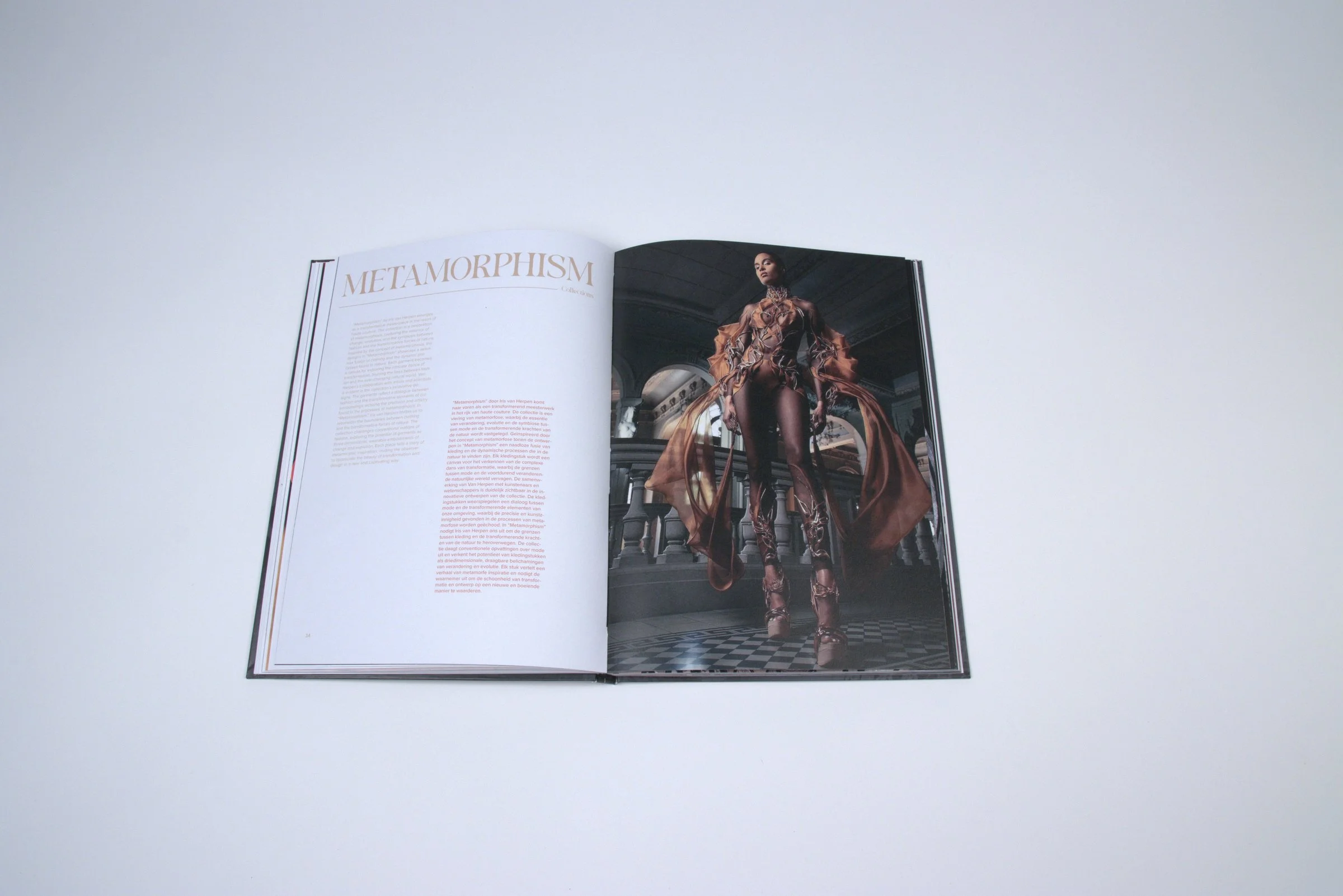 Metamorphism spread: full-bleed editorial photograph next to bilingual text columns