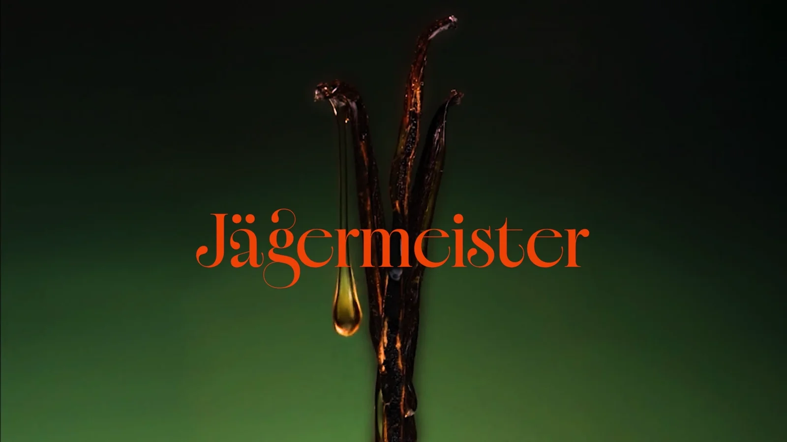Jägermeister wordmark in carmine serif over vanilla pods on green ground, a golden amber drop suspended from the pod tip.