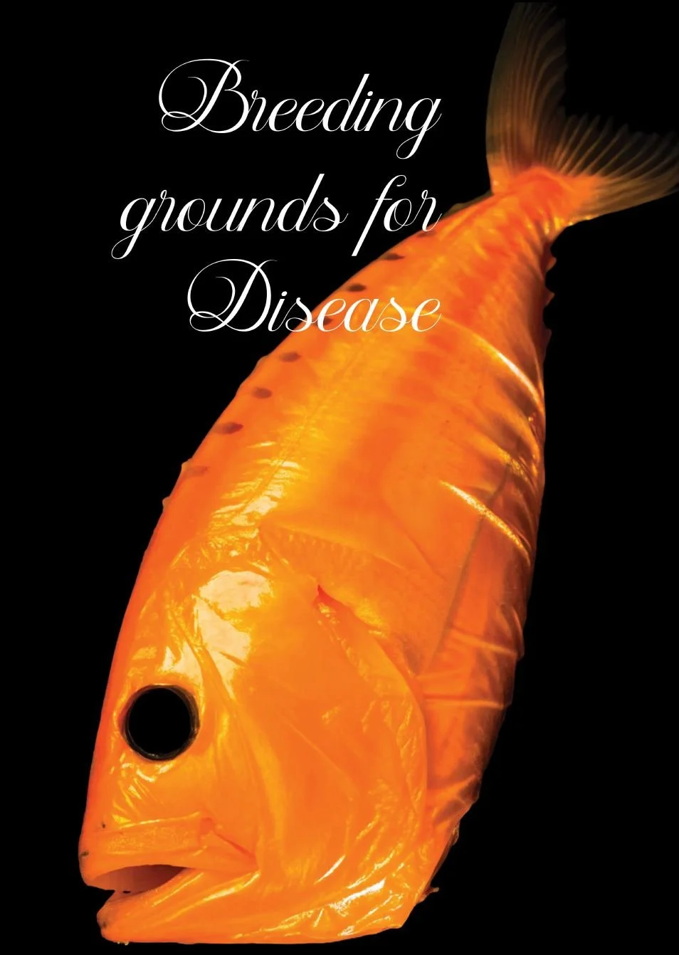 N° 083, Aquaculture series