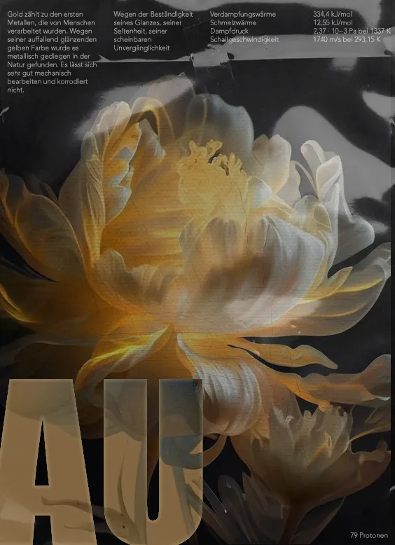 Periodic-table style Au poster: yellow peony partially obscuring the AU letters, German chemistry text columns.