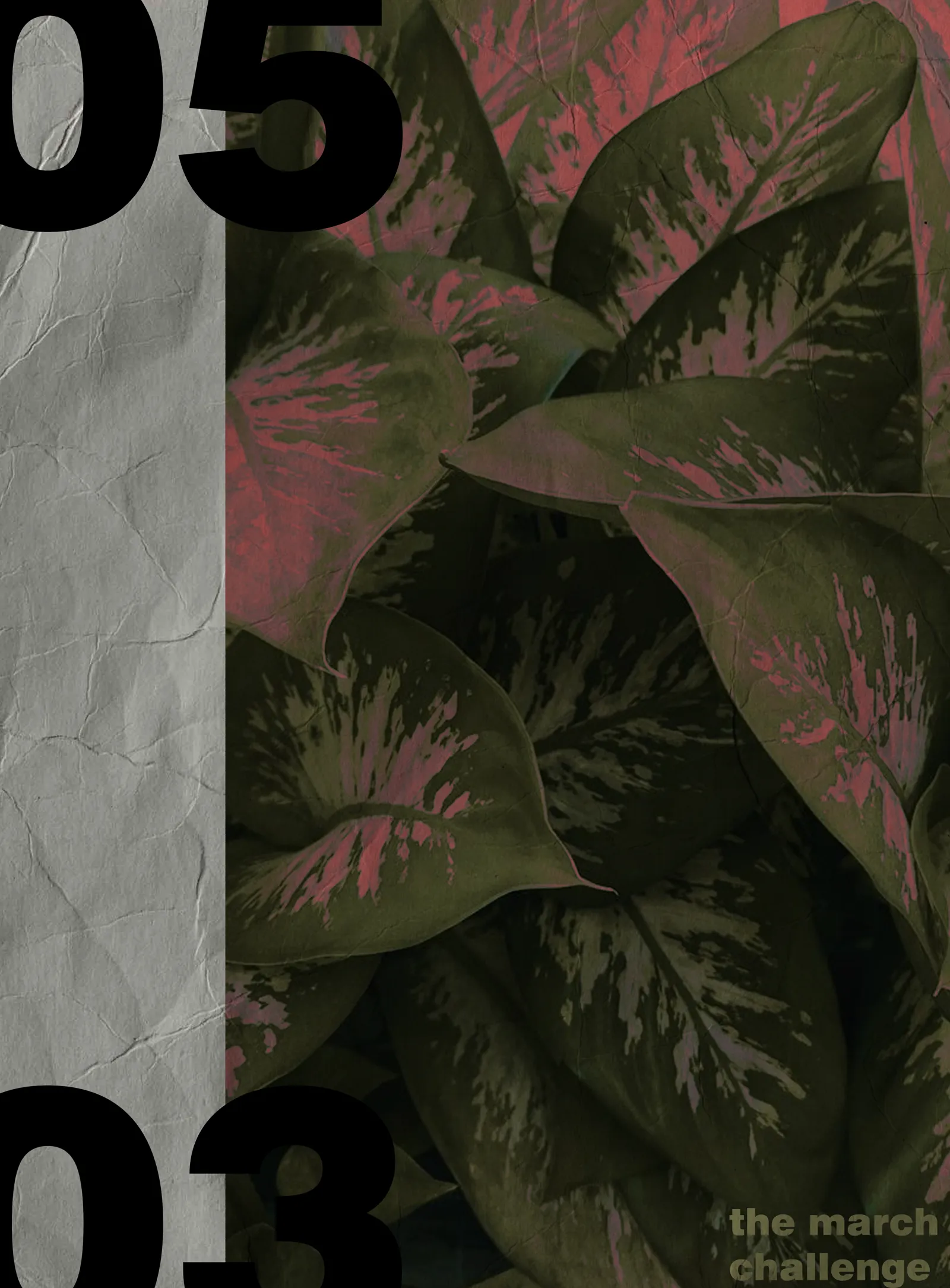 Editorial poster: bold 05 and 03 black numerals flanking a dappled leaf photo with pink underexposed sections.