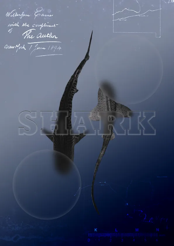 Archival-style underwater poster: shark and whale shark in muted blue, ghostly outlined SHARK type, handwritten 1894 inscription.